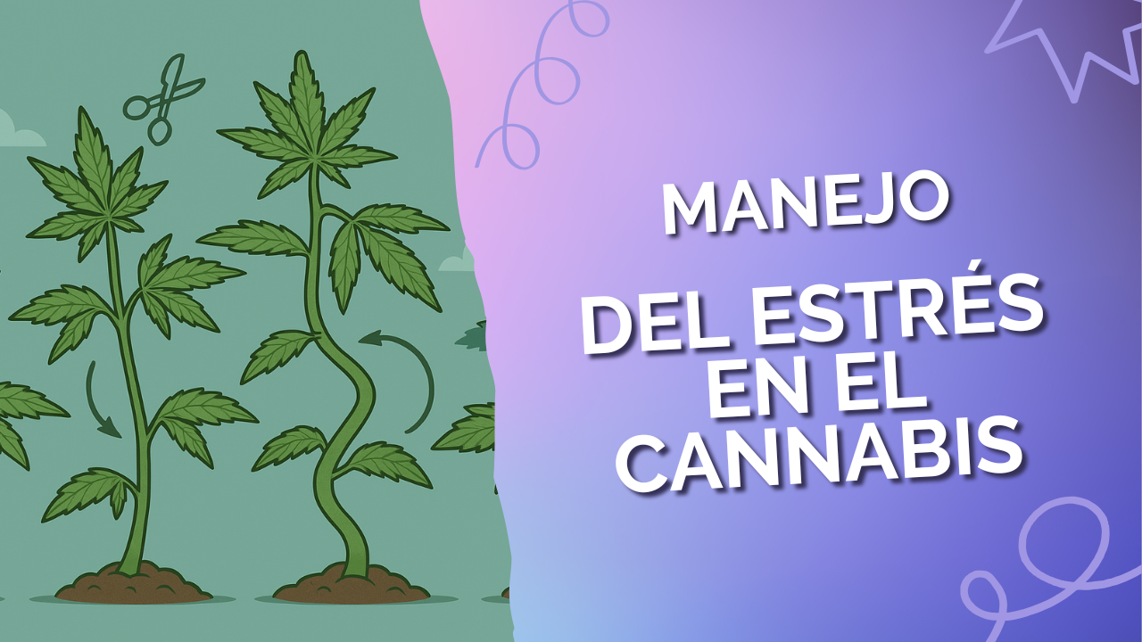 Manejo del estrés