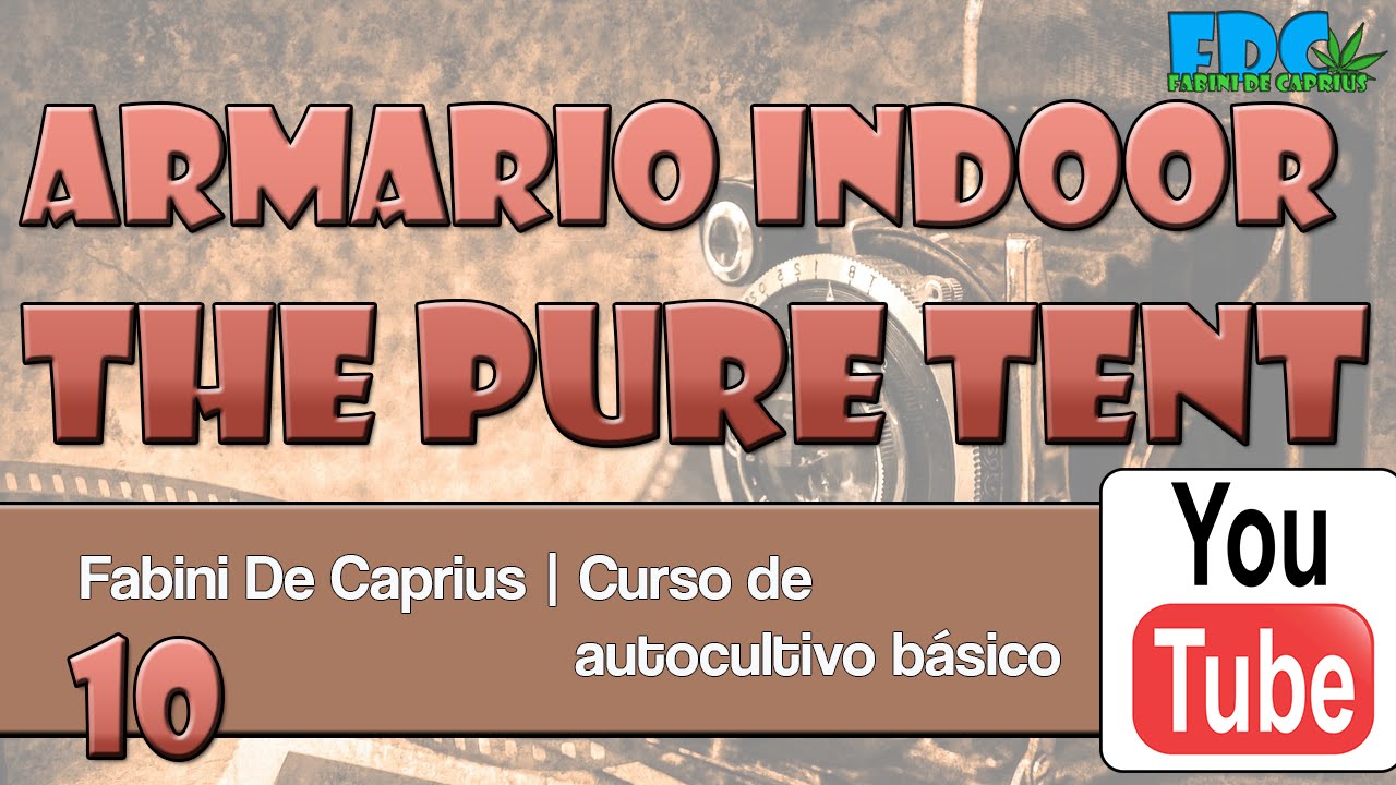 Curso de autocultivo - armario pure tent de prácticas
