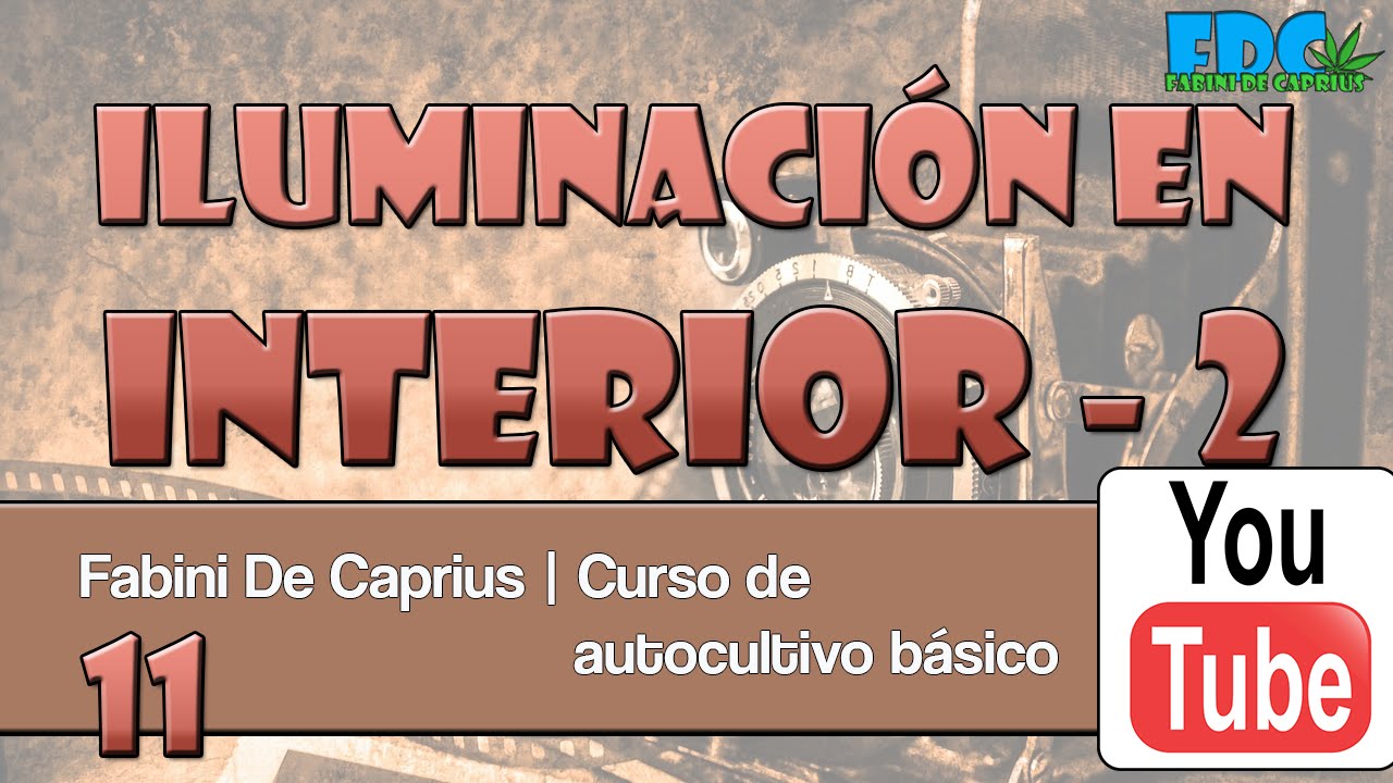 Curso de autocultivo - iluminación 2