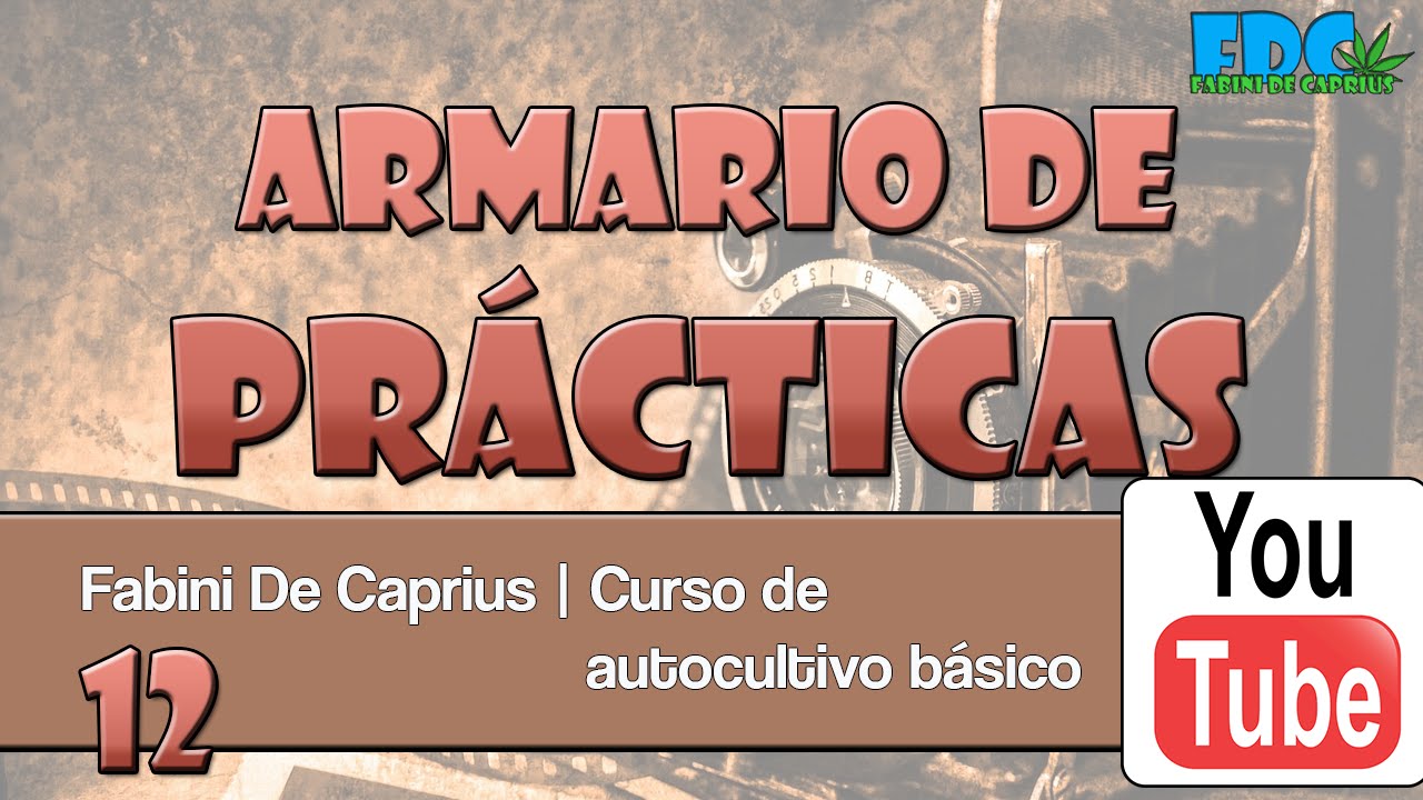 Curso de autocultivo - Práctica