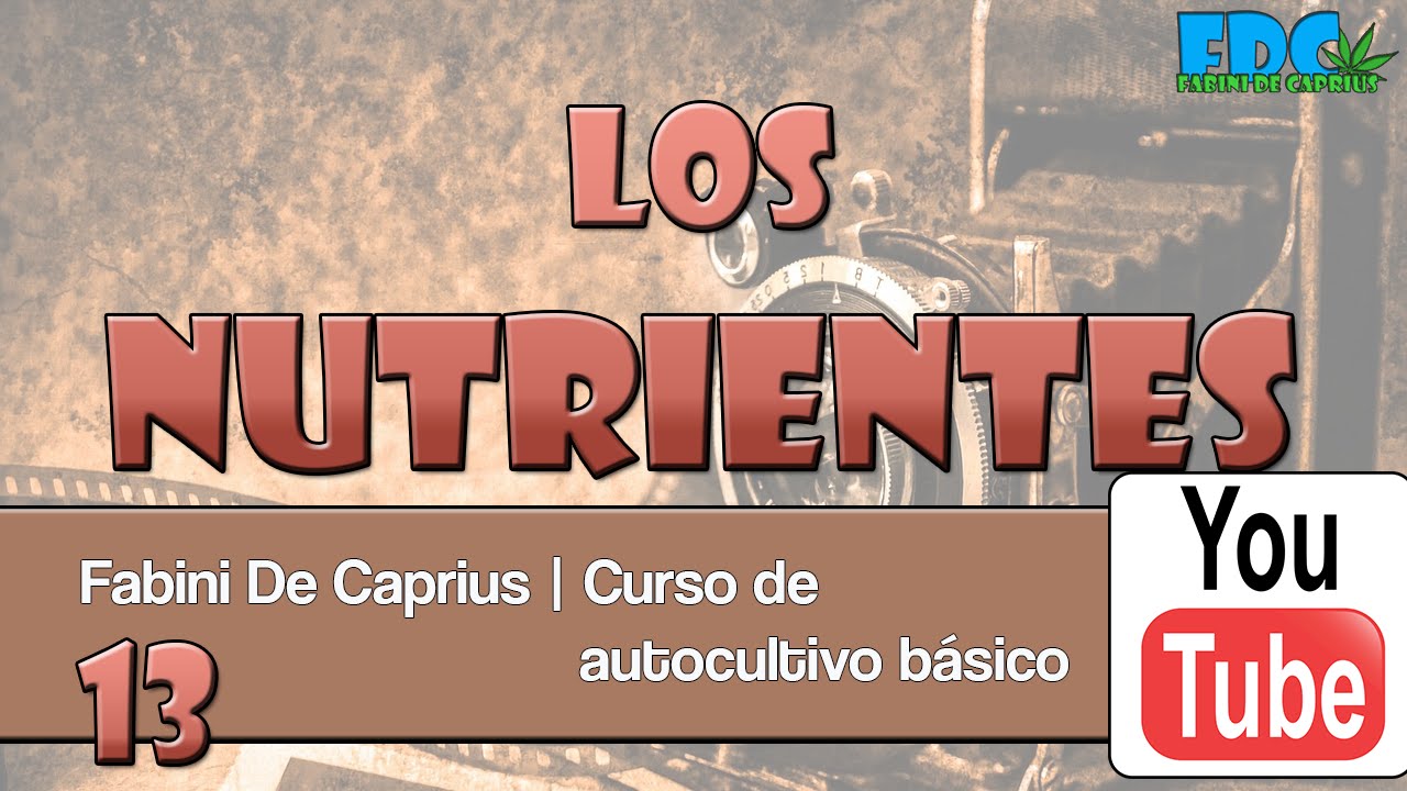 Curso de autocultivo - nutrientes