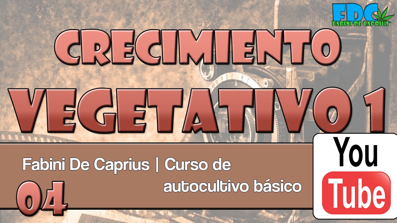 Curso de autocultivo - crecimiento vegetativo