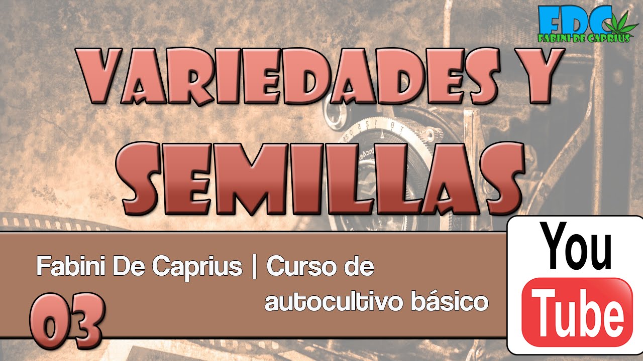 Curso de autocultivo - variedades y semillas