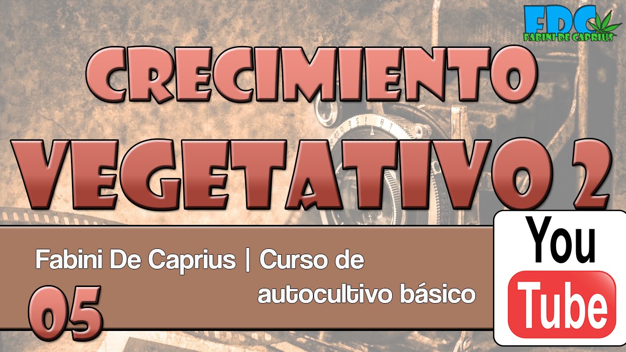 Curso de autocultivo - fase vegetativa 2