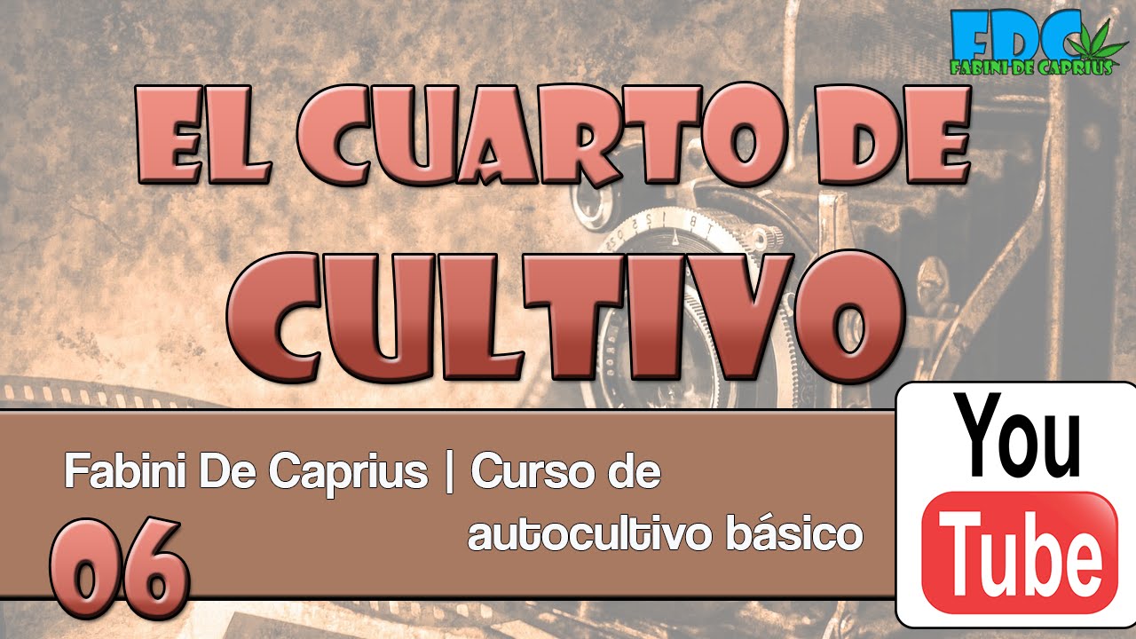 Curso de autocultivo - cuarto de cultivo