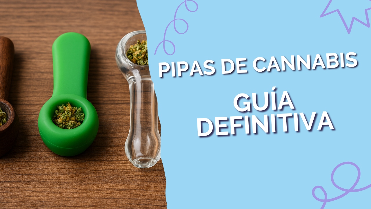 Pipas de cannabis, la guía definitiva