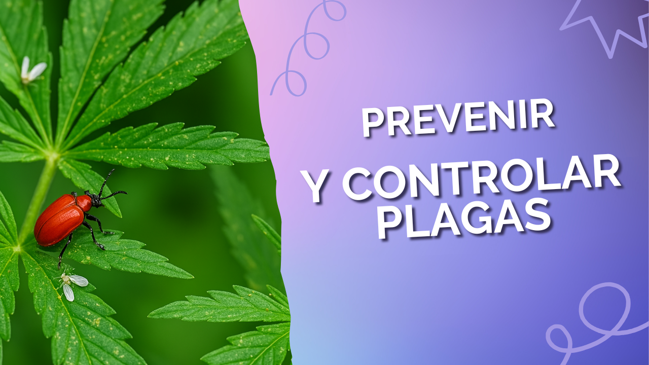 prevenir y controlar plagas