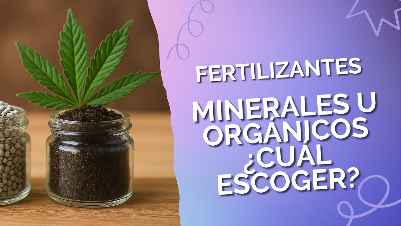 Fertilizante mineral u orgánico ¿Cuál escoger?